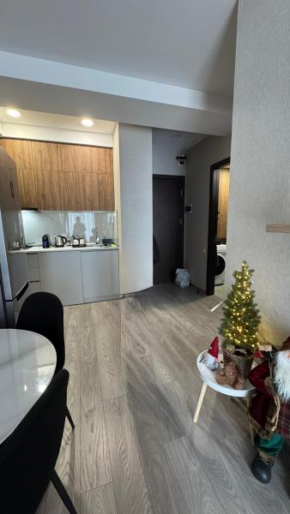 Crystal Loft 307